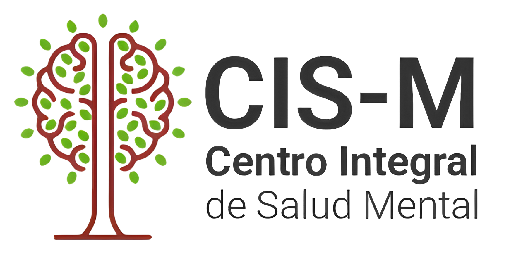 CIS-M Logo